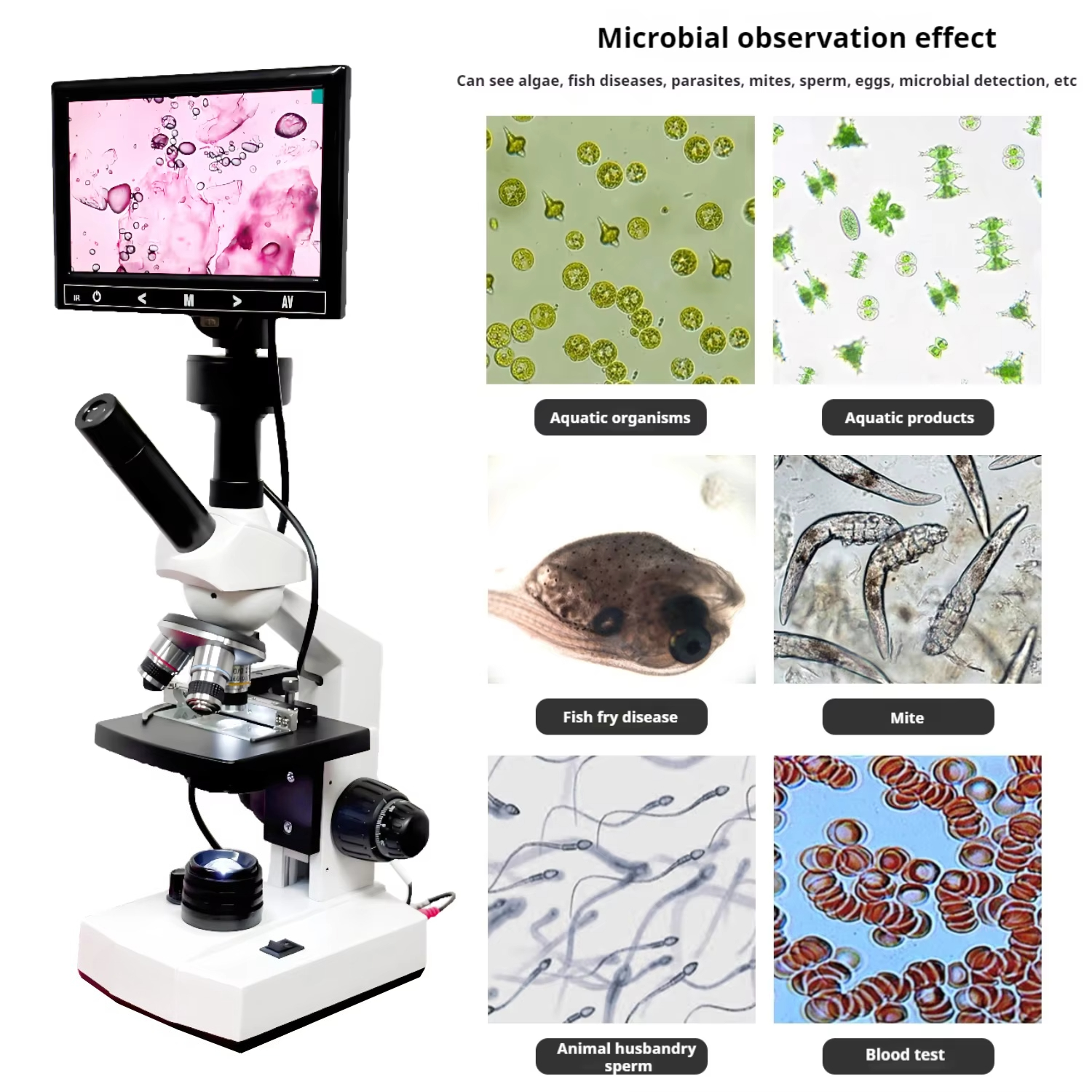 Top Selling HD Screen Digital  - Medical Lab Usa avis et prix